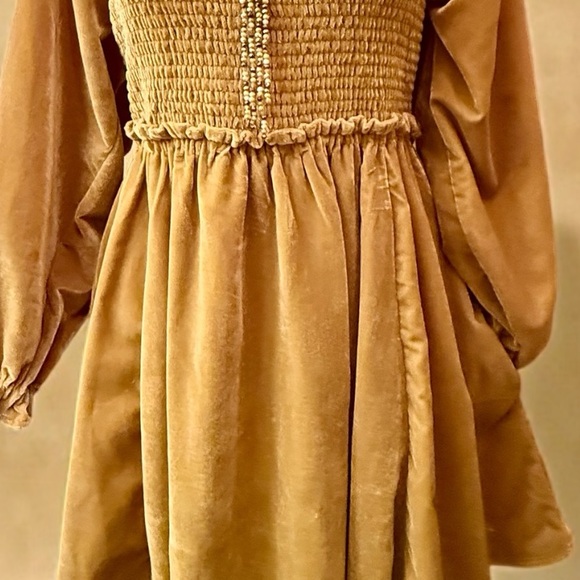 Daphne Velvet Mini Dress - Picture 11 of 11